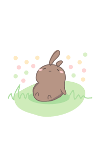 rabbit staring-100