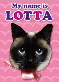 My name is LOTTA