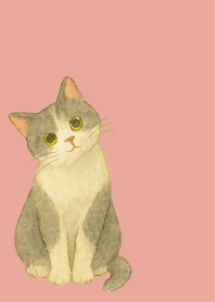 Cat tilting its head2 on p & b