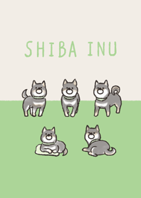 ゆるっと黒柴犬さん