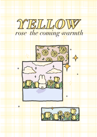 yellow rose  The coming warmth