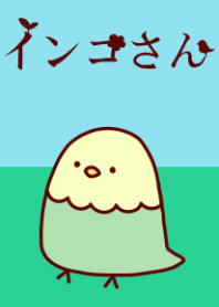 インコさん