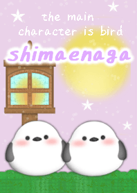 bird theme purple