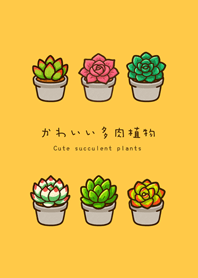 私の多肉植物（日出黄）
