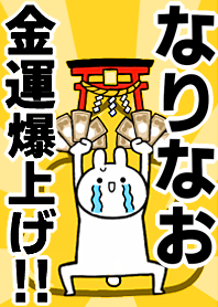 Fortune rise rabbiit[Narinao]