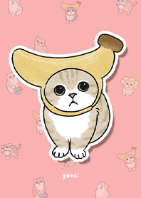 neko combo3 / coral