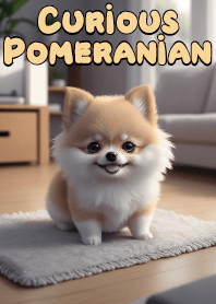 Curious Pomeranian VOL.9