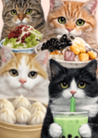 Cat, Taiwanese sweets & food