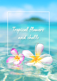 Floating Flowers (PR) - 06 Mint