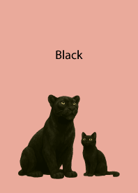 Black Pair03 on pink & blue