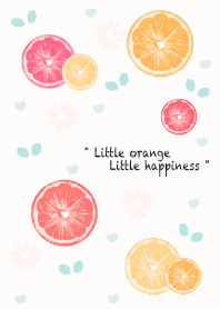 Sweet colorful sliced orange 20