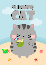 Summer Gray Cat Dukdik Theme