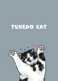 tuxedocat2 / dusty blue