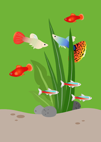 ตู้ปลาเสมือนจริง!(สีเขียวสด)