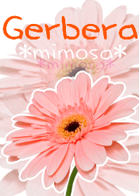 *Flower* Gerbera #01-5