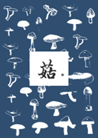 菇菇 Mushroom