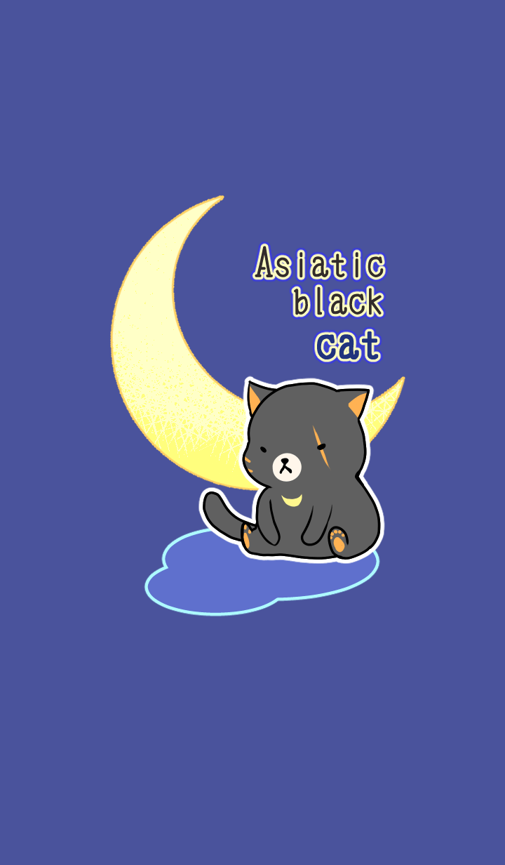 Asiatic black cat theme