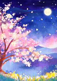 Beautiful night cherry blossoms#2979