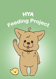HYA Feeding Project