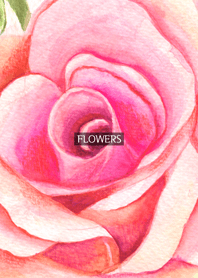 water color flowers_268