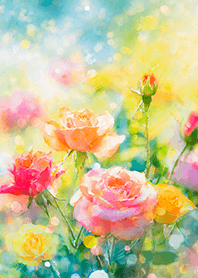 Beautiful rose flower(R5533)