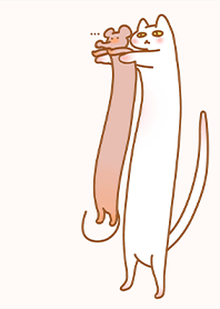 แมวยืนน่ารักสุดๆหนู