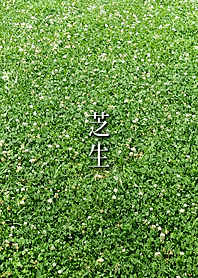 -Lawn-