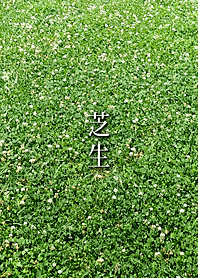 芝生－Lawn－