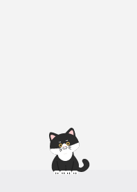 猫を飼う__ハチワレ猫