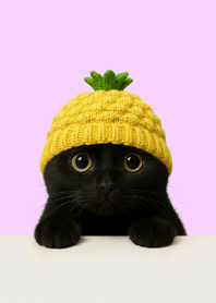 Black Cat Pineapple | Cozy Pink#7