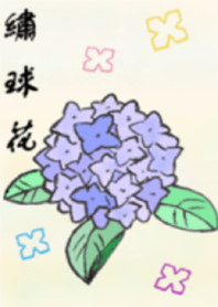 Hydrangea (Asia flowers)