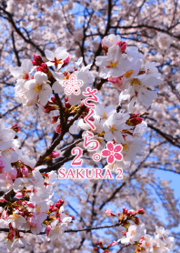 Theme of "Sakura vol.2"