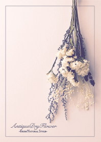 Antique dried flowers7
