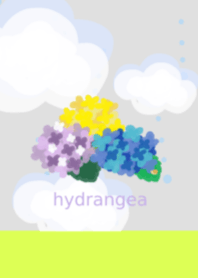 pretty hydrangea !