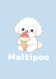 柔軟馬爾泰迪主題2 B-W 04