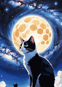 Night Moon Star Cat Af7fB9
