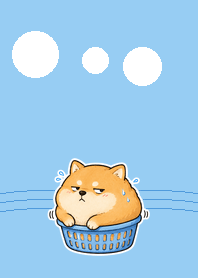 籃子太小・柴柴太滿