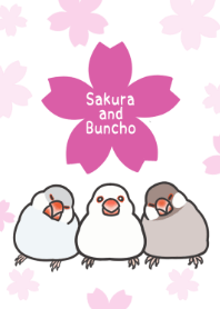 Cherry Blossoms and java sparrow