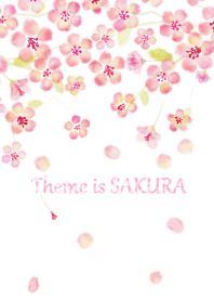 Theme is 桜