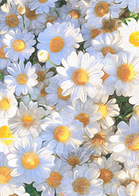 花卉系列 - 雛菊 2