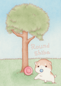 Round-shiba *圓圓柴犬