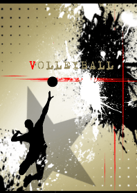 Splash Volleyball Ver.2