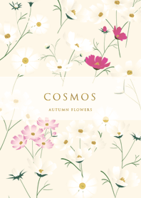 yellow tylish cosmos 15_2