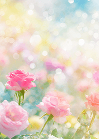 Beautiful rose flower(R5368)