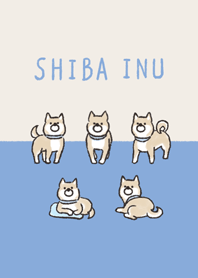 ゆるっと赤柴犬さん