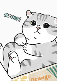 neko single15 / white