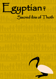 Egypt - Thoth's ibis + yellow&black