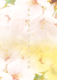 Softly SAKURA feeling - yellow - from J