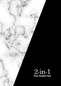 2-in-1／マーブルブラック