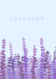 Lavender flower